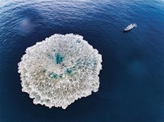 与大队党委商定了又一项