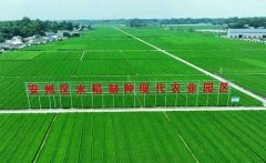 <strong>由于建设分项多、工程地</strong>